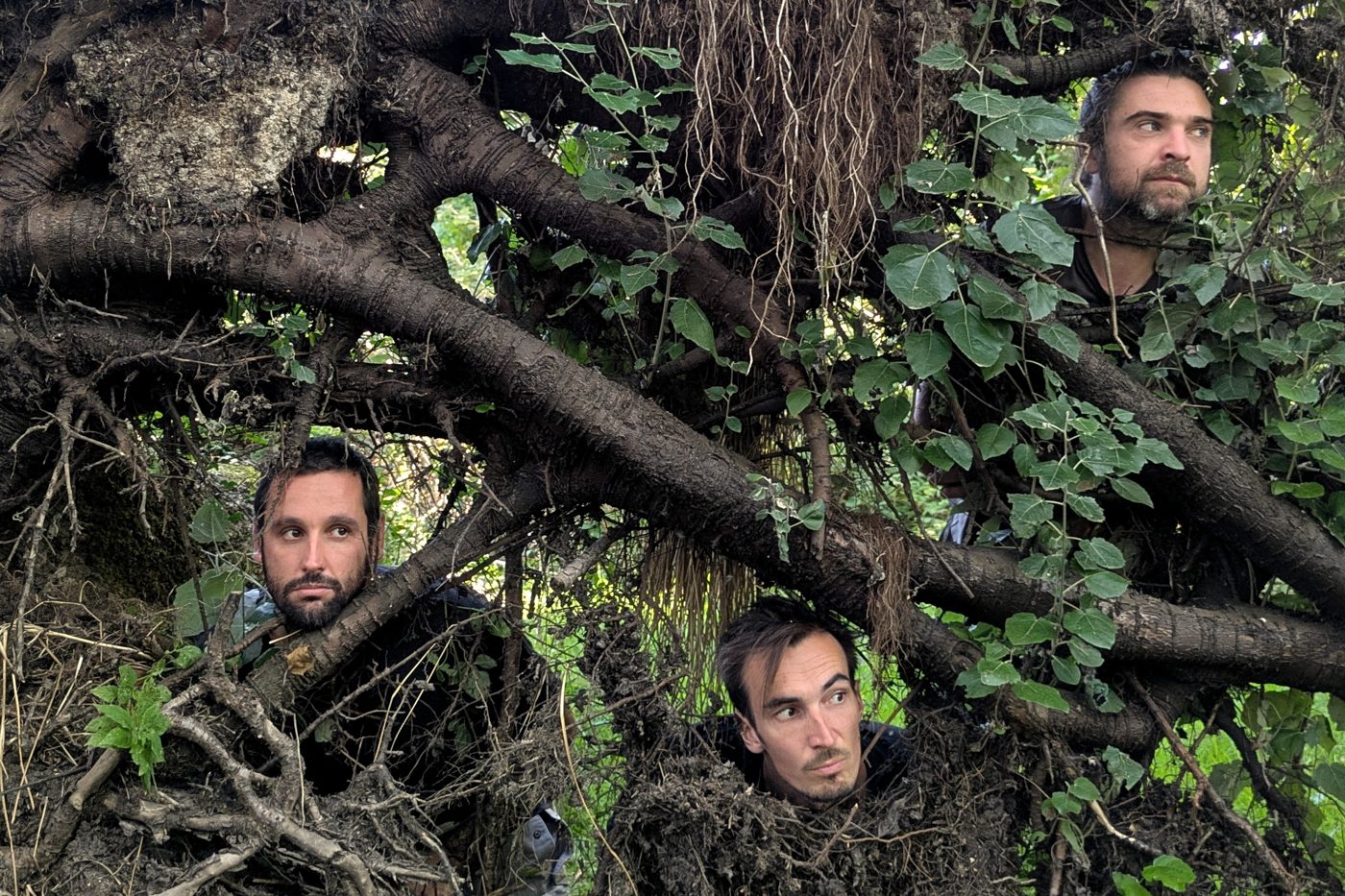 Les trois musiciens de World Panik dans les racines d’un arbre